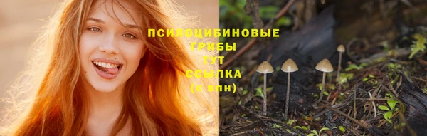 шишки Арсеньев