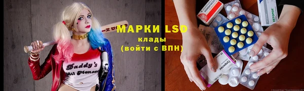 шишки Арсеньев