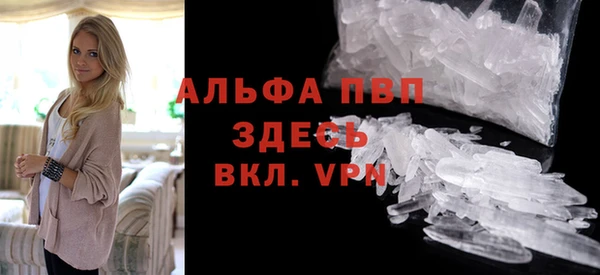 шишки Арсеньев