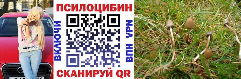 Псилоцибиновые грибы MAGIC MUSHROOMS  Макарьев 